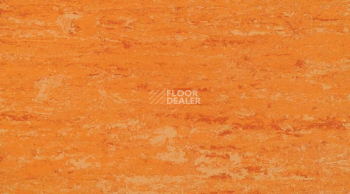 Линолеум Linodur Sport 1072 Peach Orange фото 1 | FLOORDEALER